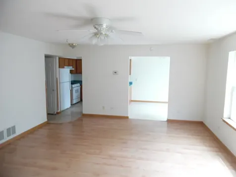 4613 Lindenwood Court Matteson IL 60443