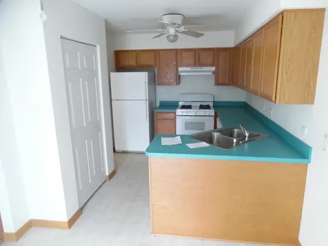 4613 Lindenwood Court Matteson IL 60443