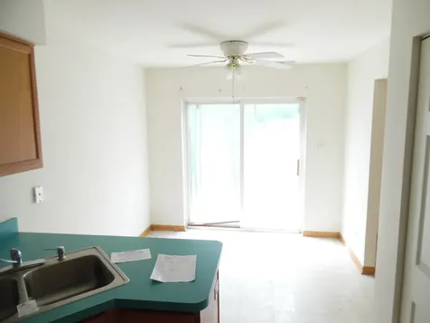 4613 Lindenwood Court Matteson IL 60443