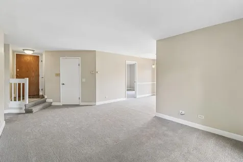 1336 Mcdowell Road Naperville IL 60563