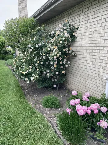 915 South See Gwun Avenue Mount Prospect IL 60056