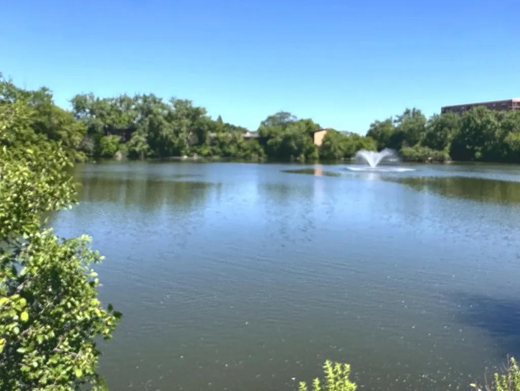 5931 Meadow Drive Lisle IL 60532