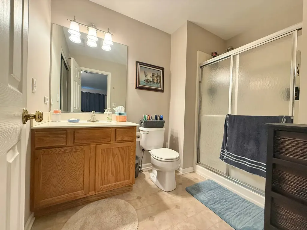 161 Braxton Lane Aurora IL 60504