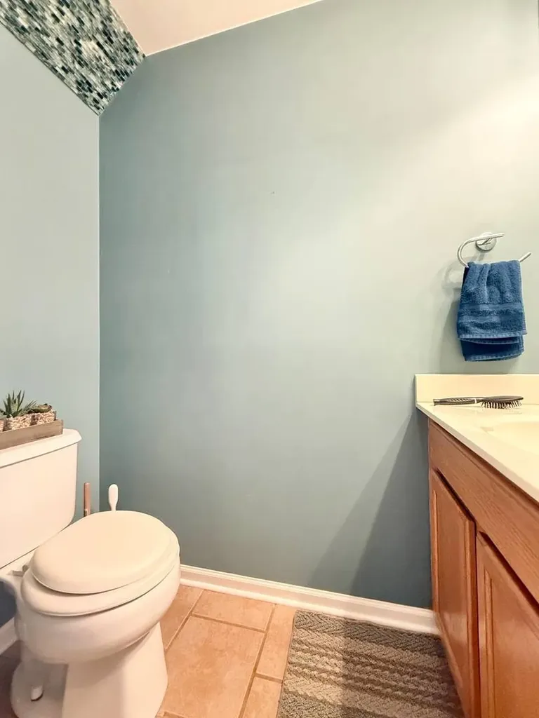 161 Braxton Lane Aurora IL 60504