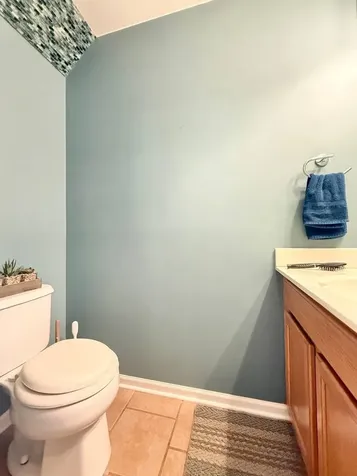 161 Braxton Lane Aurora IL 60504