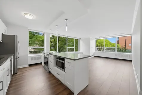 70 West Burton Place Chicago IL 60610