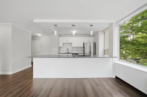 70 West Burton Place Chicago IL 60610