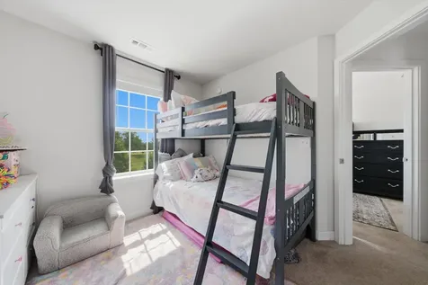 15603 Alice Mae Court Orland Park IL 60462