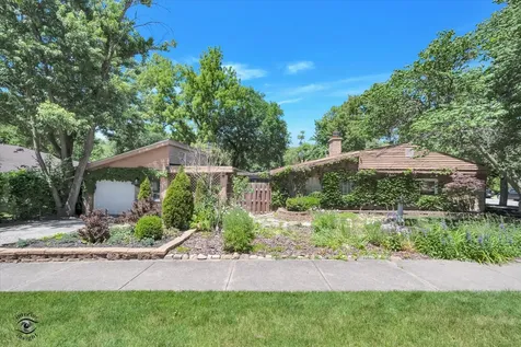 338 Ottawa Street Park Forest IL 60466