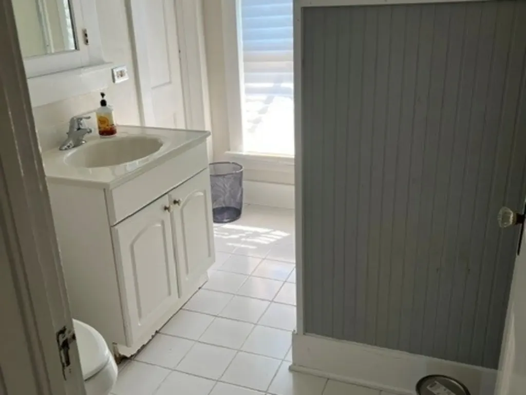 117 North Mill Street Naperville IL 60540
