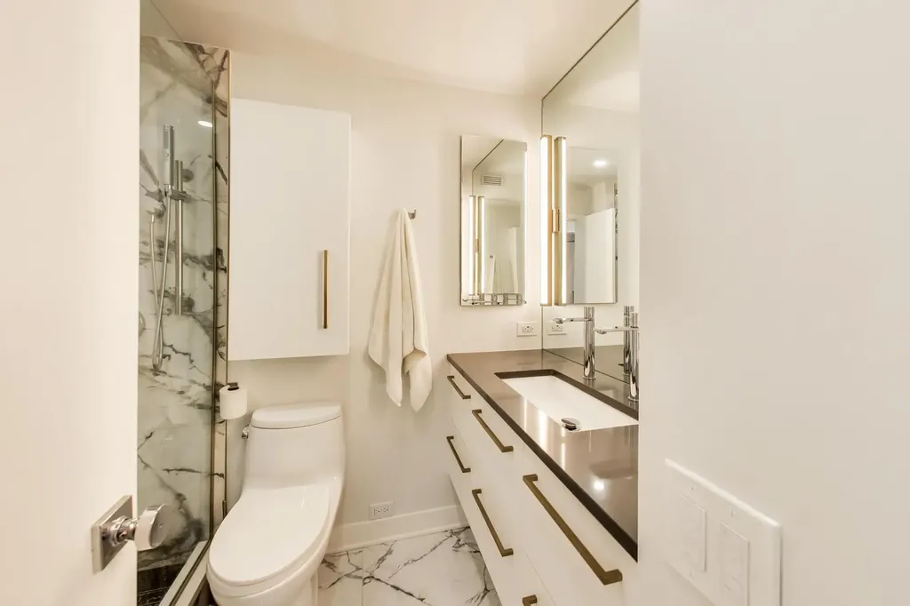 1560 North Sandburg Terrace Chicago IL 60610