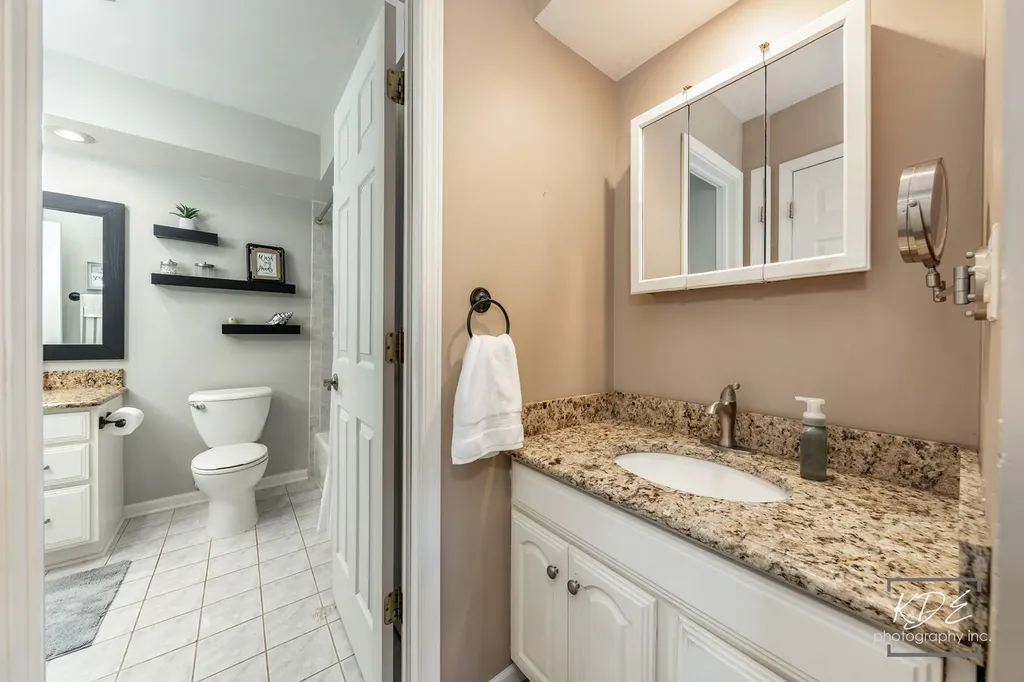 1317 Carol Lane Naperville IL 60565
