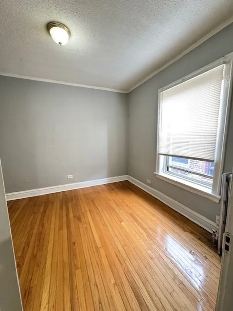 7716-18 South East End Avenue Chicago IL 60649