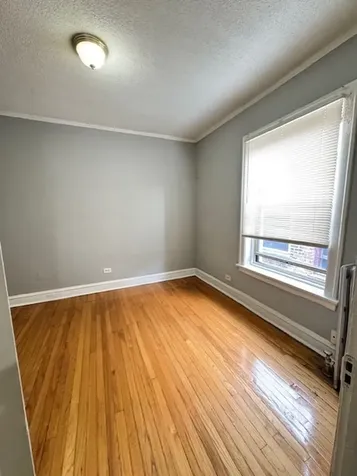 7716-18 South East End Avenue Chicago IL 60649