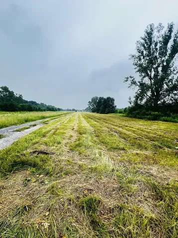17611 East 4750s Road Pembroke Twp IL 60958