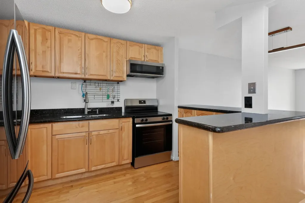 901 South Plymouth Court Chicago IL 60605