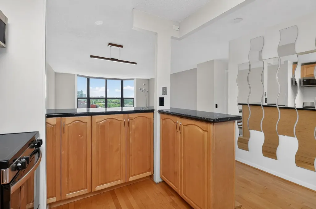 901 South Plymouth Court Chicago IL 60605