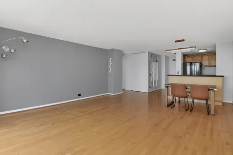 901 South Plymouth Court Chicago IL 60605