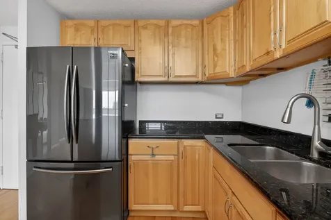 901 South Plymouth Court Chicago IL 60605