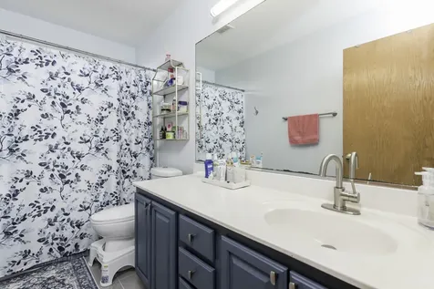 39689 Lynsee Court Beach Park IL 60083