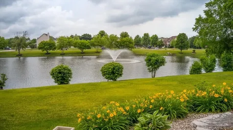 21250 South Redwood Lane Shorewood IL 60404