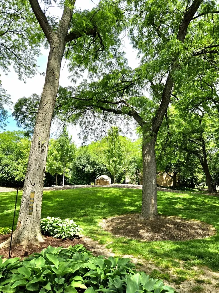 5961 Meadow Drive Lisle IL 60532