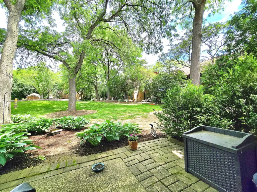 5961 Meadow Drive Lisle IL 60532
