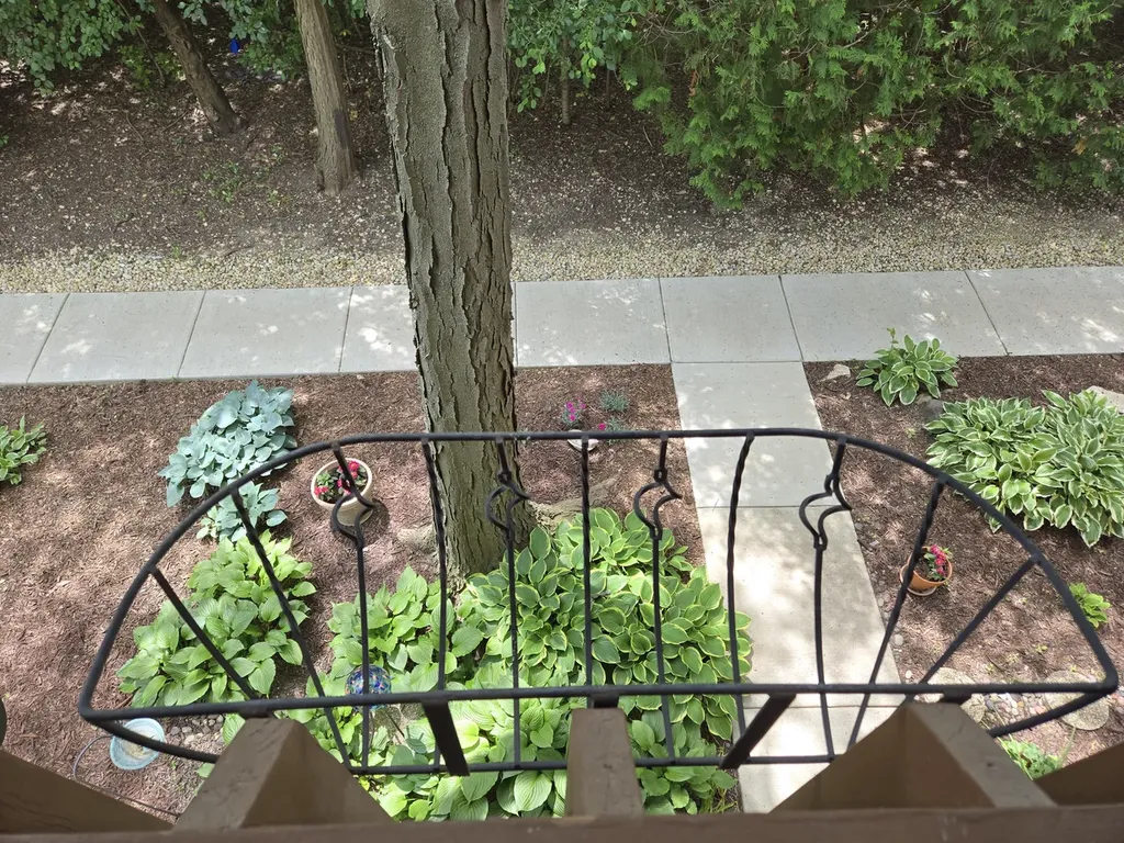 5961 Meadow Drive Lisle IL 60532