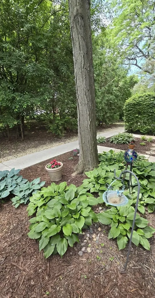 5961 Meadow Drive Lisle IL 60532