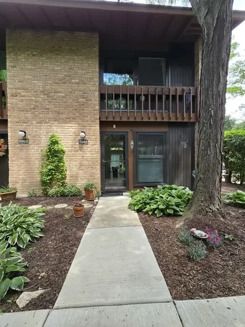 5961 Meadow Drive Lisle IL 60532