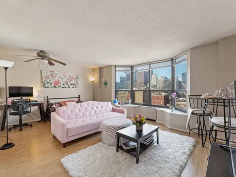 899 South Plymouth Court Chicago IL 60605