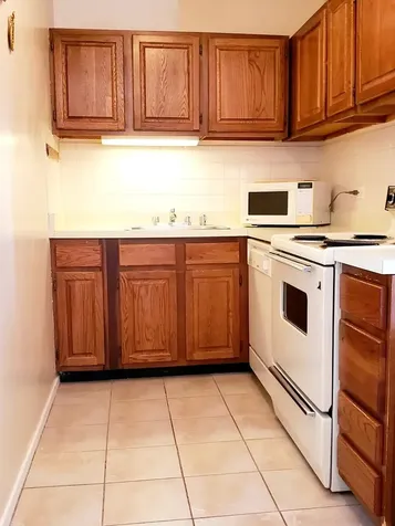 899 South Plymouth Court Chicago IL 60605