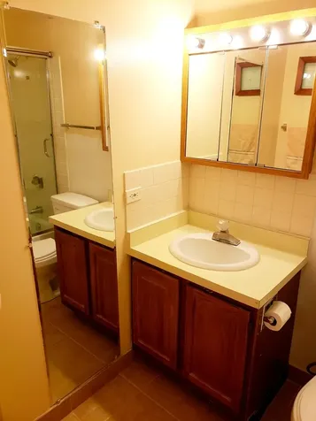 899 South Plymouth Court Chicago IL 60605