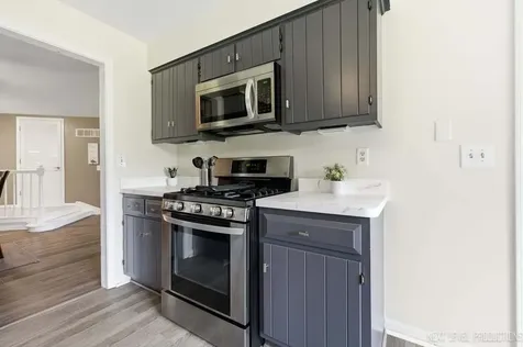117 Dunham Place Common St. Charles IL 60174