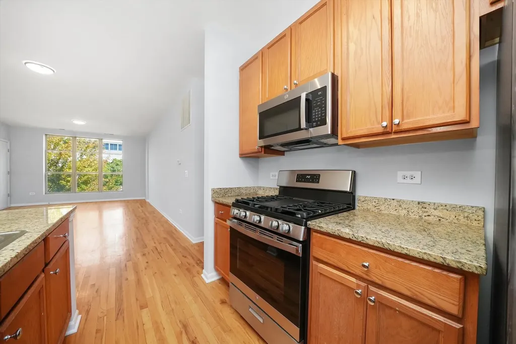 317 East 25th Street Chicago IL 60616
