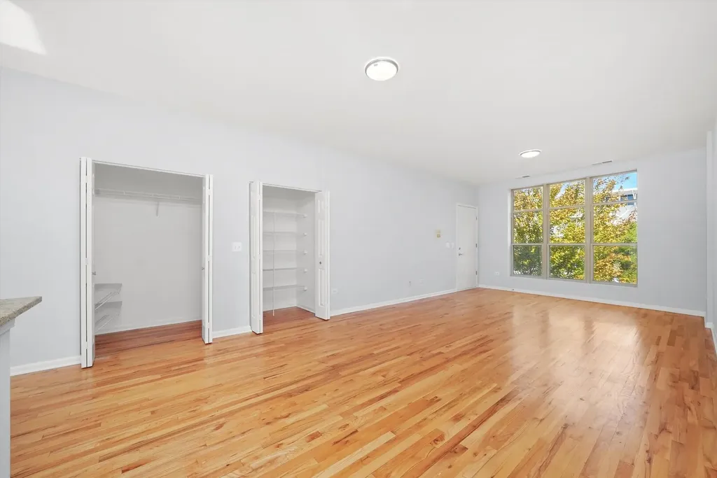 317 East 25th Street Chicago IL 60616