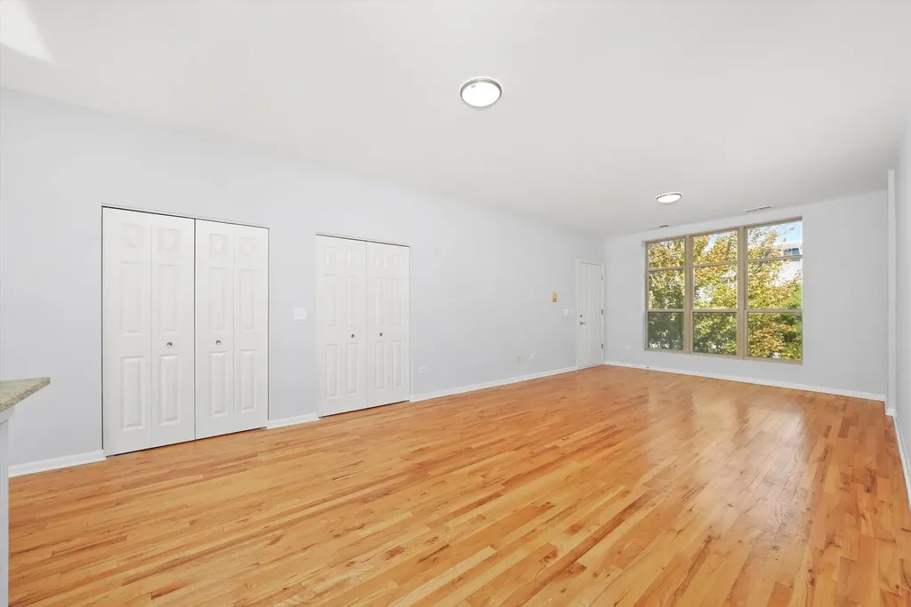 317 East 25th Street Chicago IL 60616