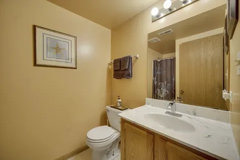22897 Eastwind Drive Richton Park IL 60471