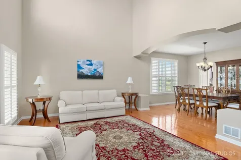 221 Willington Way Oswego IL 60543