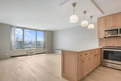 1550 North Lake Shore Drive Chicago IL 60610