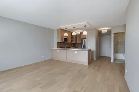 1550 North Lake Shore Drive Chicago IL 60610