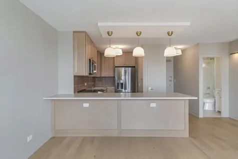 1550 North Lake Shore Drive Chicago IL 60610