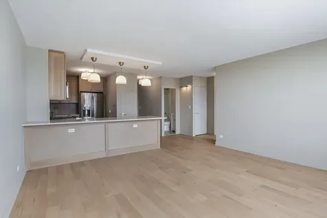 1550 North Lake Shore Drive Chicago IL 60610