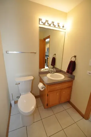 8740 Ballycastle Lane Tinley Park IL 60487