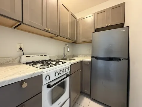 3727 North Pine Grove Avenue Chicago IL 60613