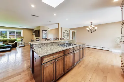 16 South Wildwood Drive Prospect Heights IL 60070