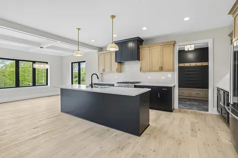 1108 Walter Street Lemont IL 60439