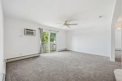 213 East Liberty Street Wauconda IL 60084