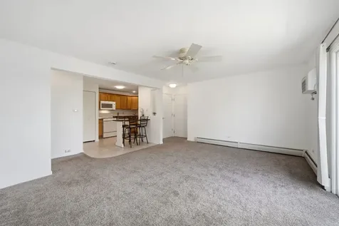 213 East Liberty Street Wauconda IL 60084