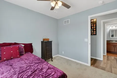 511 Sundown Trail Braceville IL 60407